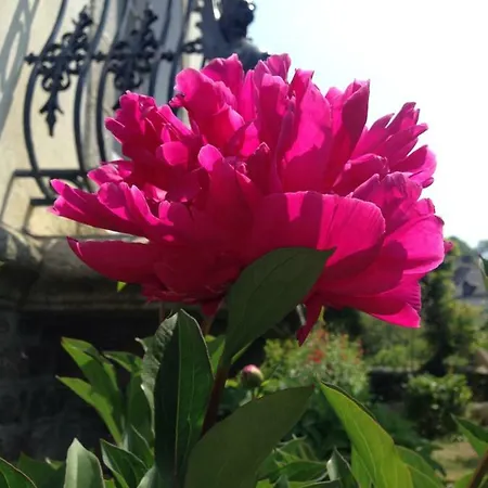 Maison Castel Braz *